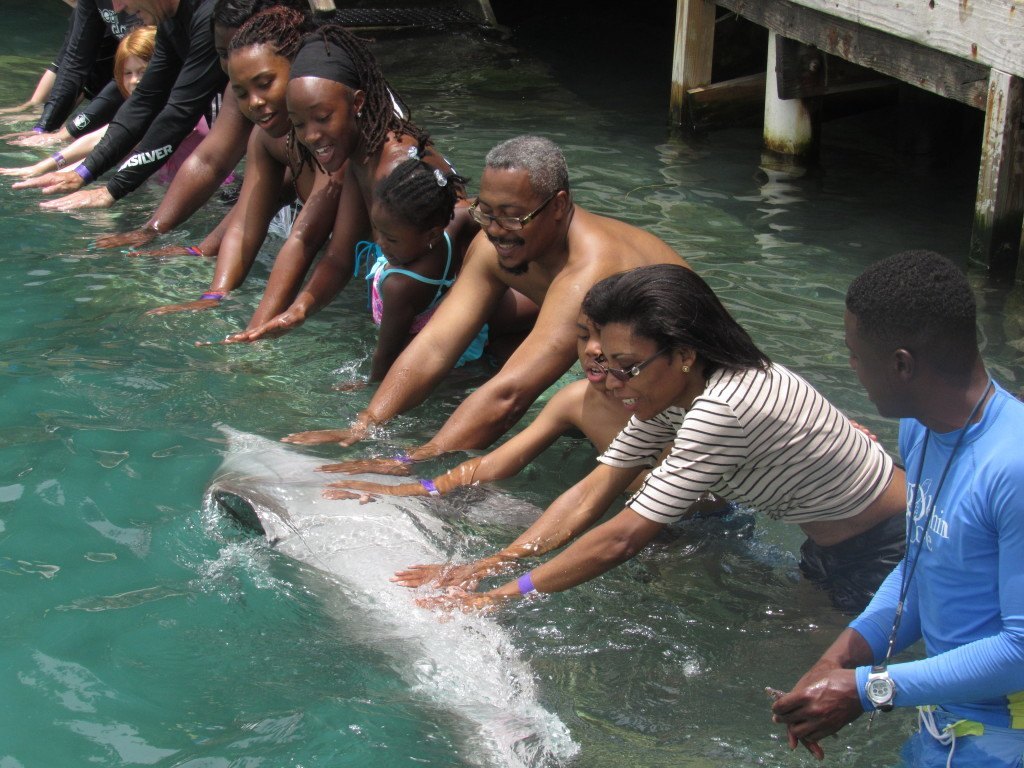 Dolphin Cove Jamaica - Touch the Dolphin